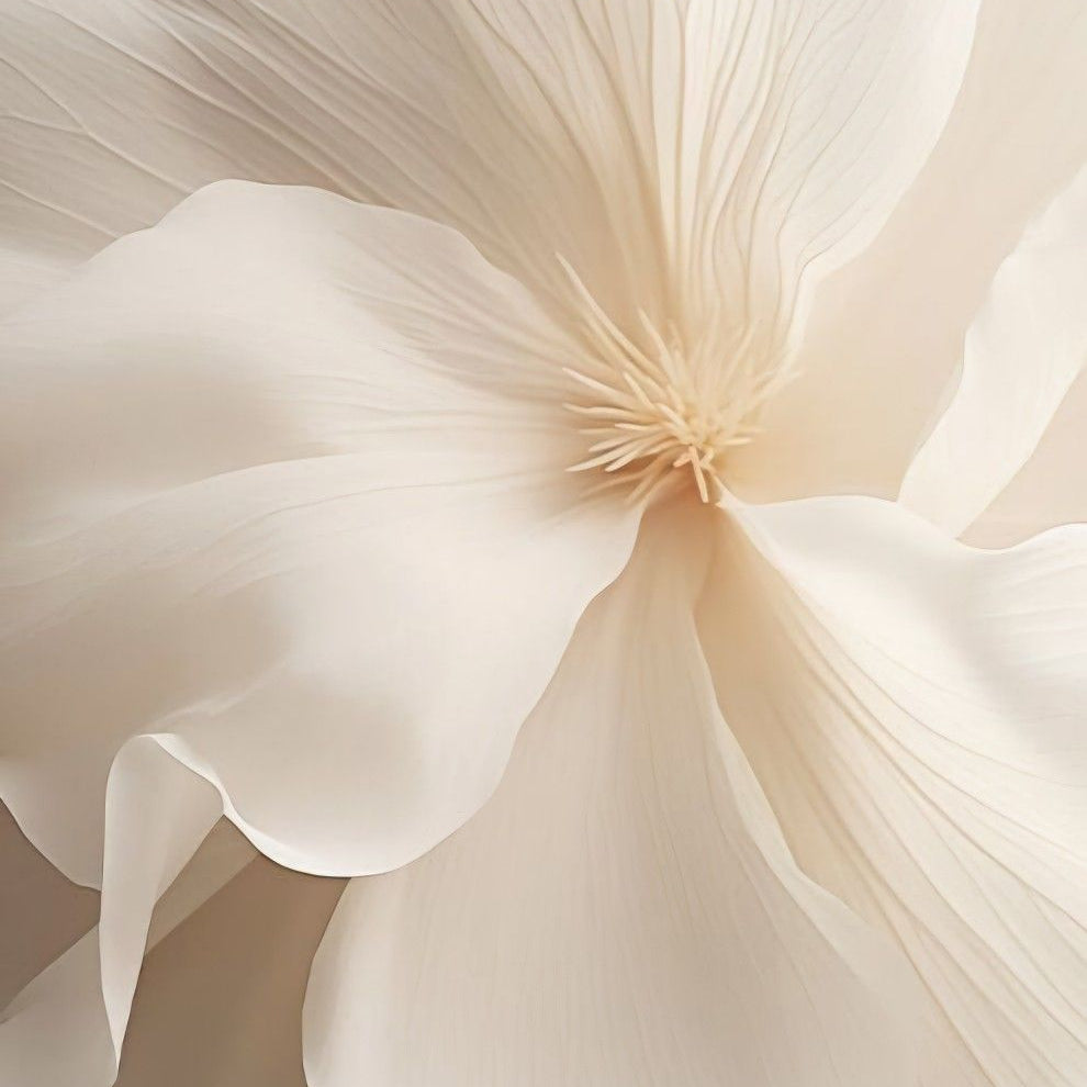 Muestrario de aromas